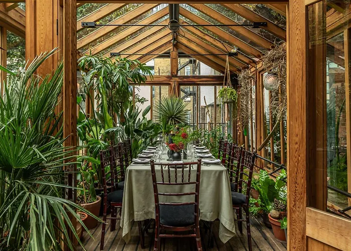 The Mandrake (Adults Only)